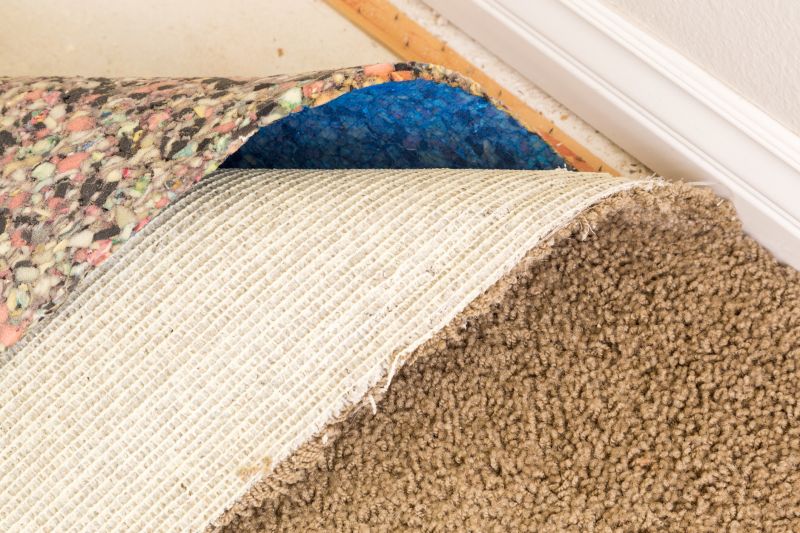 Carpet Foam Replacement in Denver County, CO