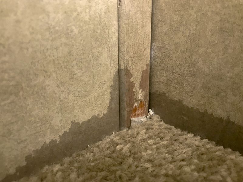 Doorway Carpet Repair in Kansas City, KS