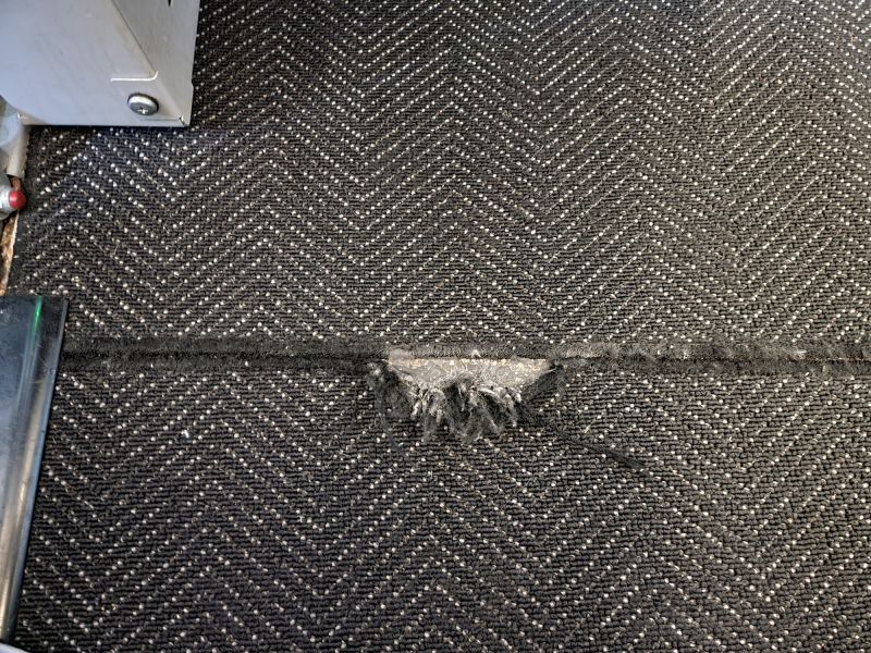 Pet Stain Carpet Repair in Overland Park, KS
