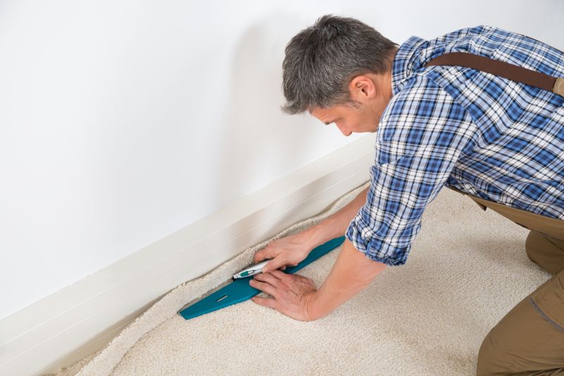Plush Carpet Installation in Freehold, NJ